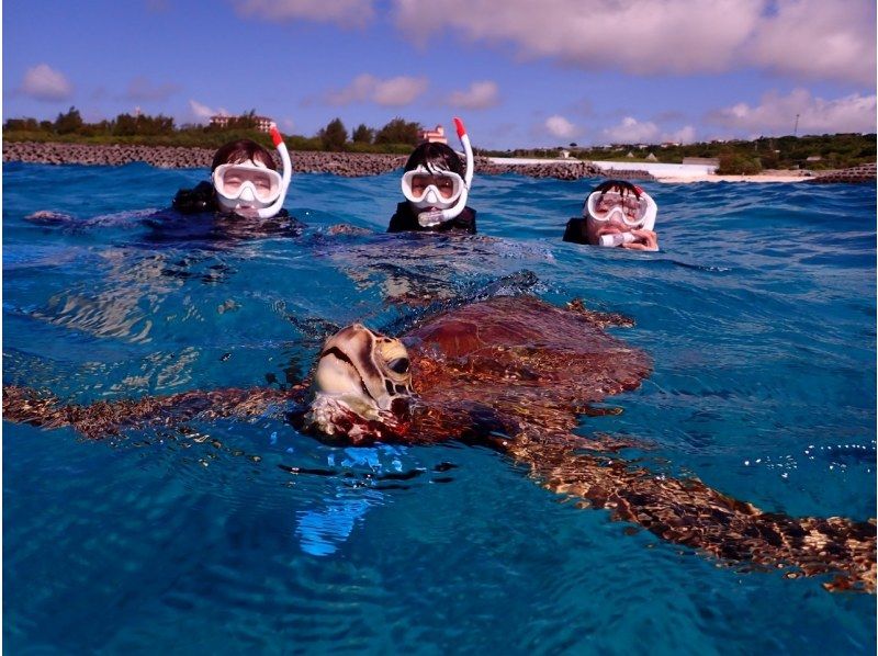 [Miyakojima / Private tour for one group] Snorkeling tour where you can swim with sea turtles! 100% chance of encountering them! We will show you all the sea turtles, Nemo, and coral!!の紹介画像