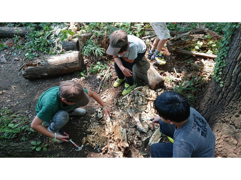 [Tokyo Chofu] Stag beetle wood splitting experience, adult participation required
