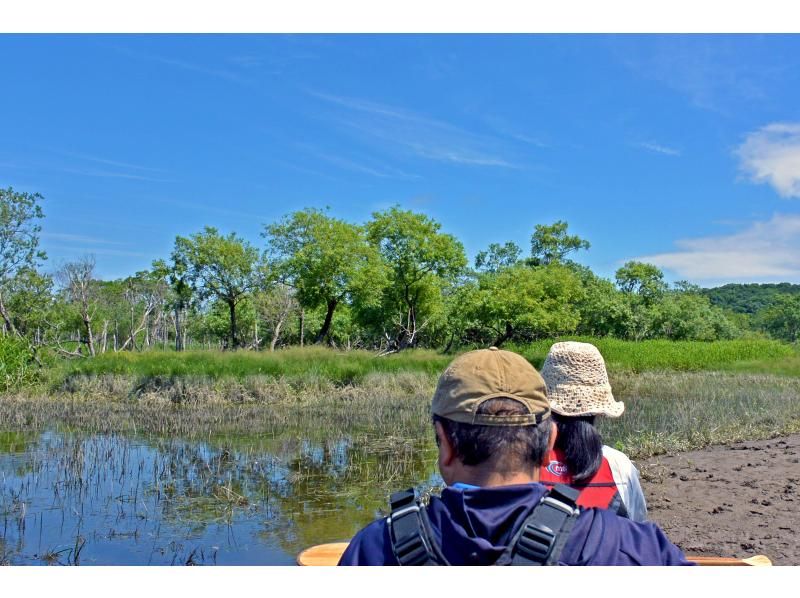 Kushiro River, wetland canoe descent, Kottaro course [Completely private course]の紹介画像