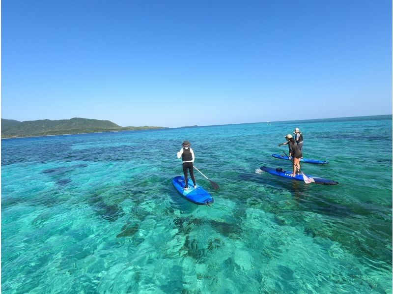 [Kohama Island] "Private guided SUP tour" with free island transportation! Beginners, children, and seniors are all welcome!の紹介画像