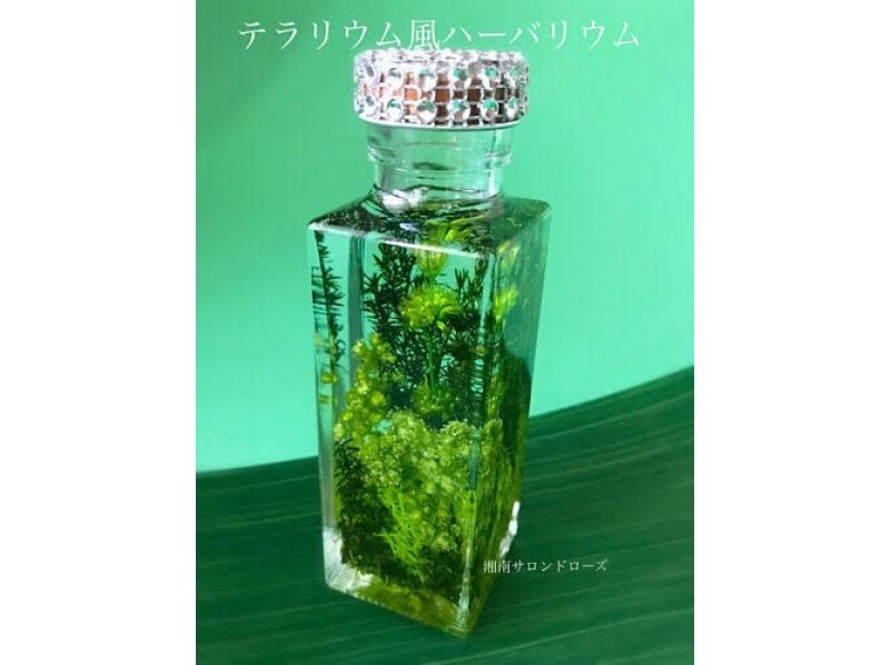 [Yokohama Kannai] Why don't you make the most popular herbarium experience, a brilliant work together? 3 minutes walk from Kannai Station!の紹介画像