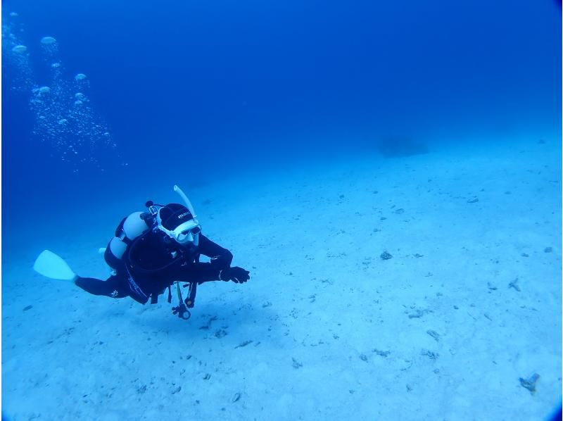 【沖縄・石垣島】オープンウォーターダイバーライセンス取得コース☆ゆっくり丁寧に女性インストラクターがご案内！の紹介画像