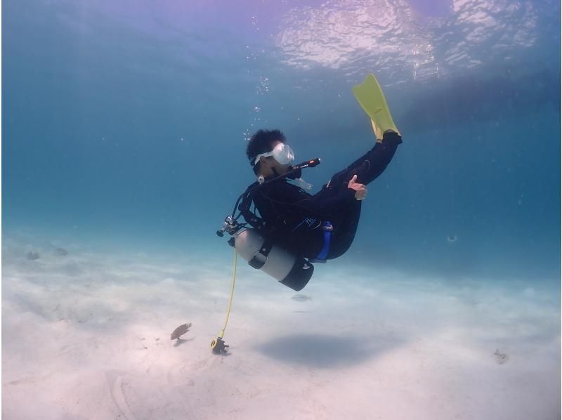 【沖縄・石垣島】オープンウォーターダイバーライセンス取得コース☆ゆっくり丁寧に女性インストラクターがご案内！の紹介画像