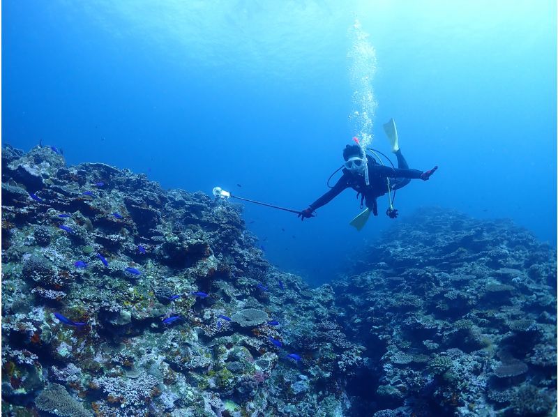 【沖縄・石垣島】オープンウォーターダイバーライセンス取得コース☆ゆっくり丁寧に女性インストラクターがご案内！の紹介画像