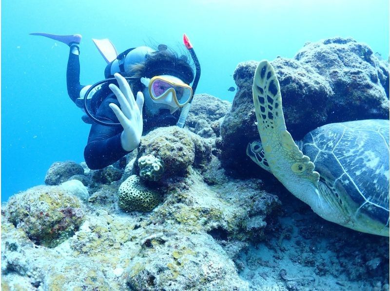 【沖縄・石垣島】オープンウォーターダイバーライセンス取得コース☆ゆっくり丁寧に女性インストラクターがご案内！の紹介画像