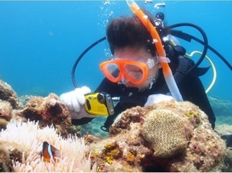 【鹿児島・屋久島】 体験ダイビングを楽しもう！「半日2ダイブコース」写真撮影付き ・初心者・1名様大歓迎♪の紹介画像