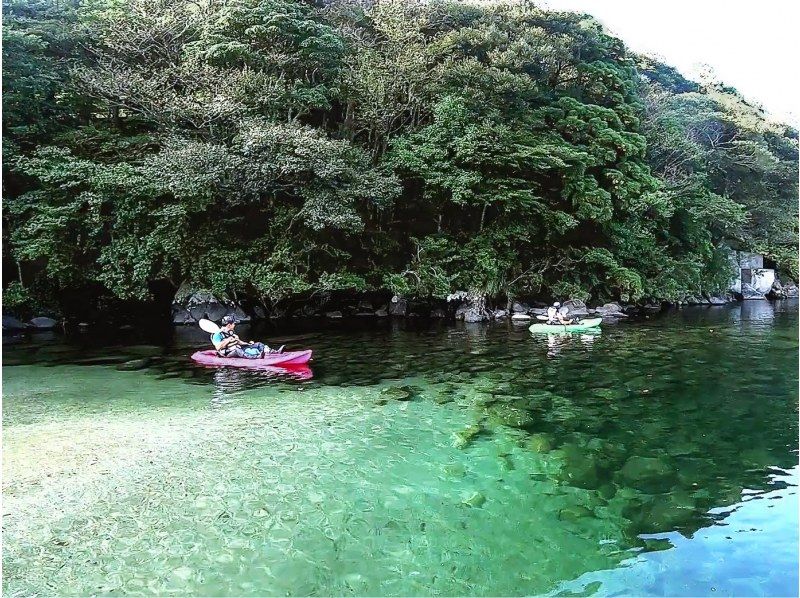 【屋久島 リバーカヤック＆体験ダイビング】1日で川も海も両方楽しみたい！（ 1日コース・動画撮影付き）の紹介画像