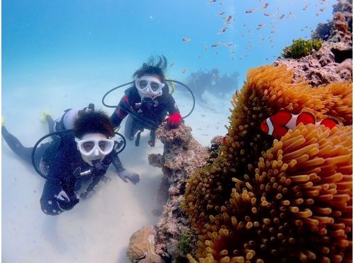 【石垣・半日ダイビング】午前コース♪初心者専門!女性インストラクターがご案内します♪ 【石垣・半日ダイビング】午前コース♪初心者専門!女性インストラクターがご案内します♪