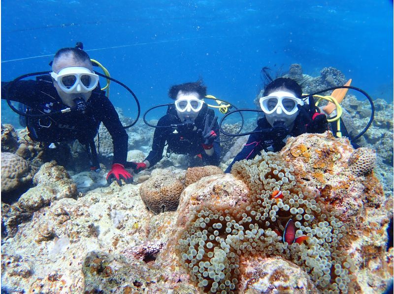 【石垣・半日ダイビング】午前コース♪初心者専門！女性インストラクターがご案内します♪の紹介画像
