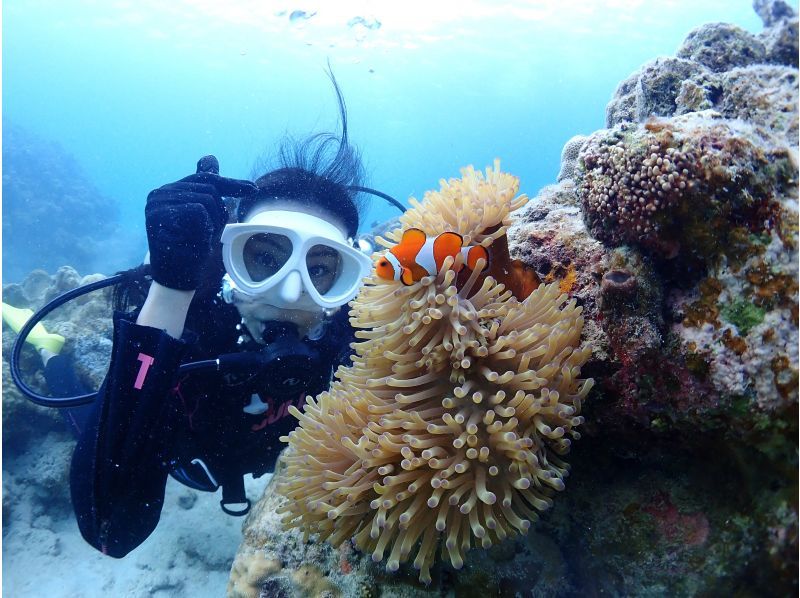 【石垣・半日ダイビング】午前コース♪初心者専門！女性インストラクターがご案内します♪1人参加大歓迎！！の紹介画像