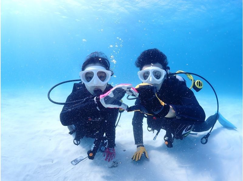 【石垣・半日ダイビング】午前コース♪初心者専門！女性インストラクターがご案内します♪1人参加大歓迎！！の紹介画像