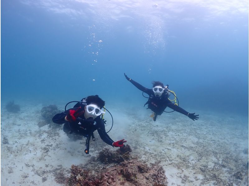 【石垣・半日ダイビング】午後コース♪ウミガメシュノーケリングと体験ダイビングの贅沢半日プラン！！の紹介画像