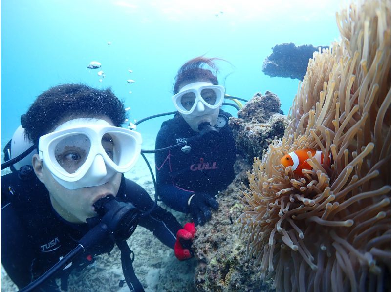 【石垣・半日ダイビング】午後コース♪ウミガメシュノーケリングと体験ダイビングの贅沢半日プラン！！の紹介画像