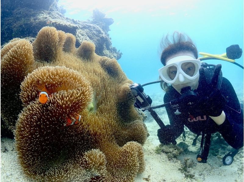 【石垣・午後】＼１組限定／クチコミ★５｜初心者専門！ウミガメシュノーケリングと体験ダイビングの贅沢半日プラン｜1人参加大歓迎の紹介画像