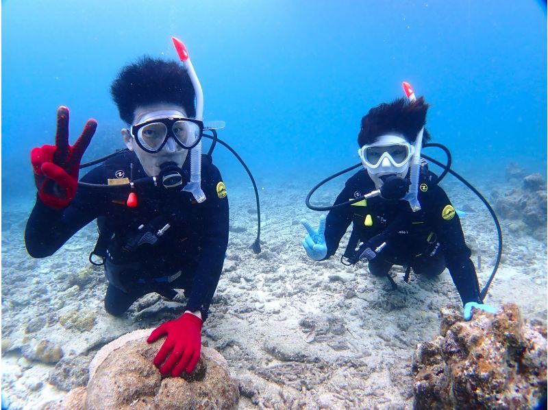 【石垣島・1日ダイビング】体験ダイビングとウミガメシュノーケリングの１日満喫プラン。追加で＋1dive可能の紹介画像