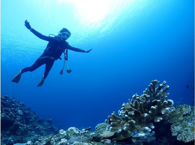 【石垣島クチコミ★5】体験ダイビングとウミガメシュノーケル付き1日ツアー｜初心者OK｜女性インストラクター｜少人数制（最大3名）｜写真無料｜の紹介画像