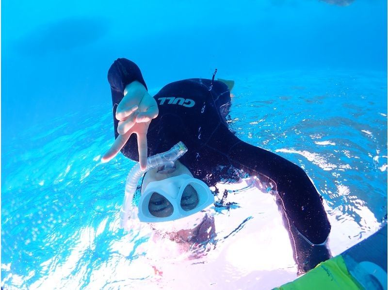 【石垣島クチコミ★5】体験ダイビングとウミガメシュノーケル付き1日ツアー｜初心者OK｜女性インストラクター｜少人数制（最大3名）｜写真無料｜の紹介画像
