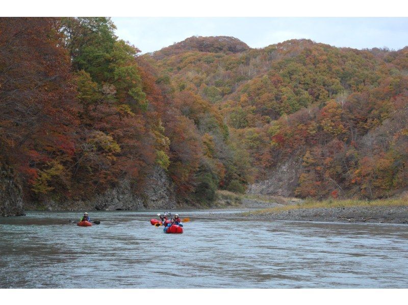 [北海道日高] Saru河的Packraft！完全私人旅遊の紹介画像