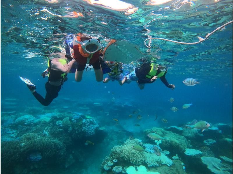 瀬底島開催！お子様・経験者もスキルに合わせてご案内！完全貸切ボートシュノーケリングツアー！お帰りの際に写真・動画をプレゼント！の紹介画像