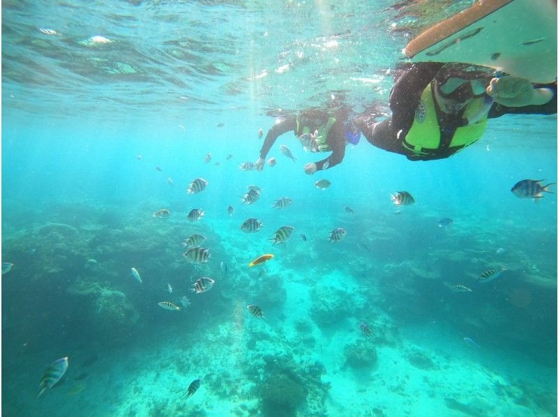 瀬底島開催！お子様・経験者もスキルに合わせてご案内！完全貸切ボートシュノーケリングツアー！お帰りの際に写真・動画をプレゼント！の紹介画像