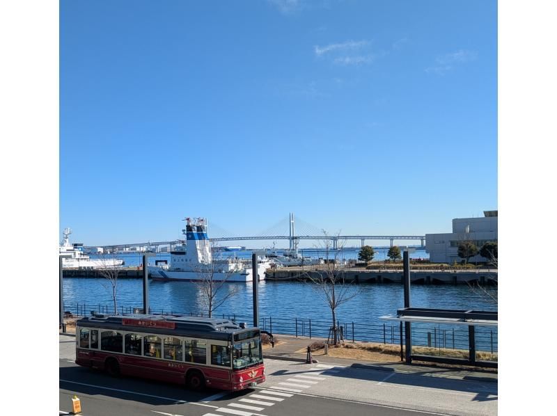 【神奈川・横浜】横浜ファミリーツアー　ガイド付の紹介画像