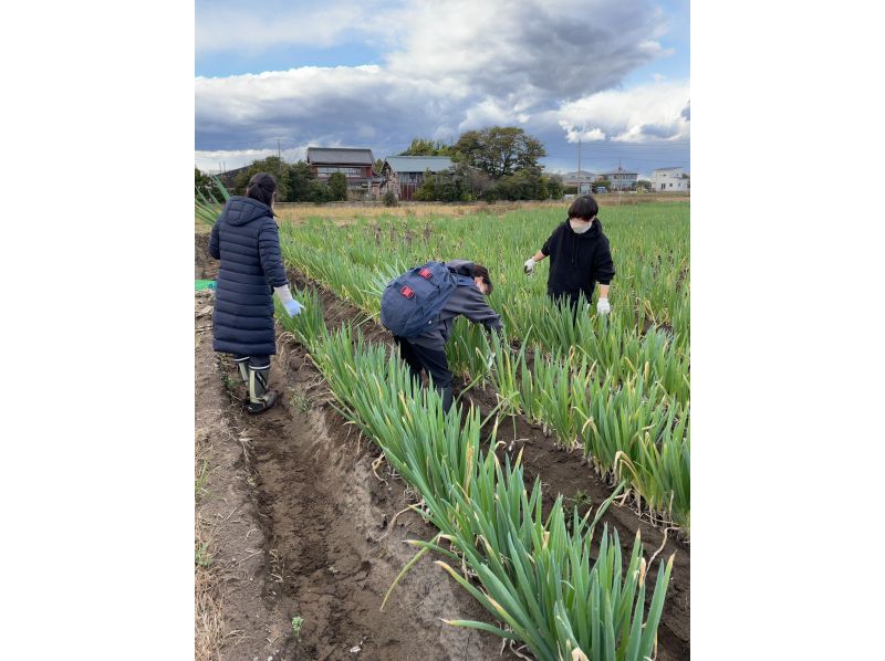 [Chiba Kujukuri Sotobo] Experience organic vegetable farming in Oamishirasato City! Close to the sea! Comes with a vegetable souvenirの紹介画像