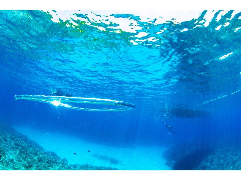 【沖縄・那覇】到着日から参加可能なOWライセンス 最終日はウミガメ探しへの紹介画像