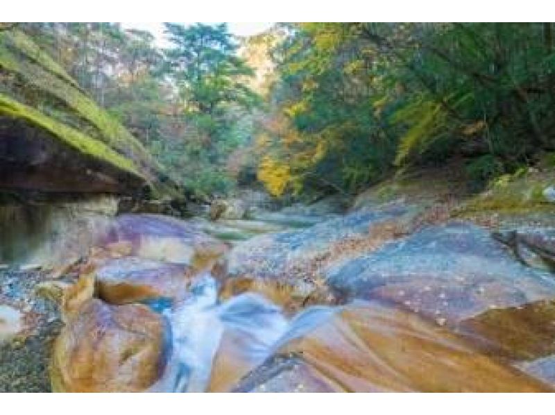 【大分・佐伯市】1組限定【日帰り】「秋の藤河内渓谷/沢歩き」(昼食.珈琲.ｵﾔﾂ/♨️付)【装備無料】10～12月の紹介画像