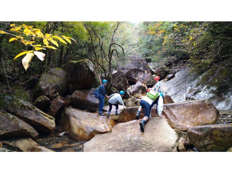 【大分・佐伯市】1組限定【1泊2日】「秋の藤河内渓谷/沢歩き」(弁当/焚火夜営/2食/ｺｰﾋｰ.ｵﾔﾂ/♨️付)【装備無料】10～12月の紹介画像