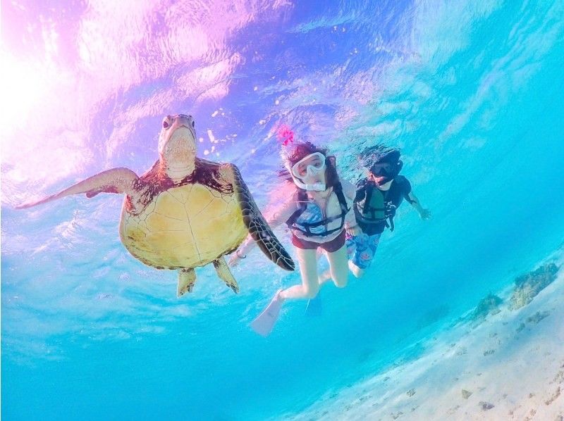 Miyakojima's most popular ★《100% encounter rate continues》【Sea turtle snorkeling】You can also see clownfish! Rain is OK! Same-day OK ★ Free data ★【Support for students】の紹介画像