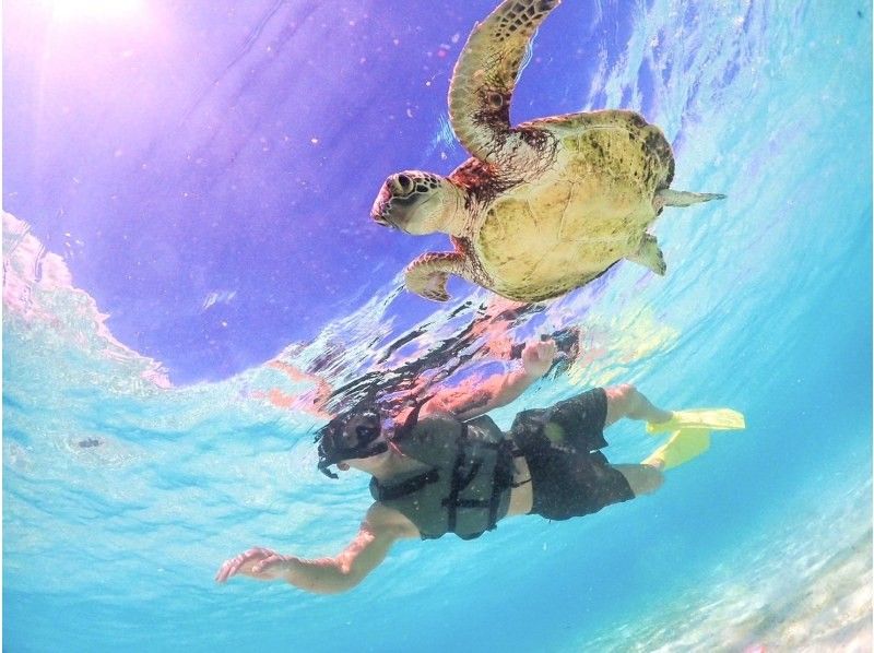 Miyakojima << Encounter rate 100% ongoing! 》[Sea turtle snorkel] Free gift for all photo data! Sure to look great on SNS!の紹介画像