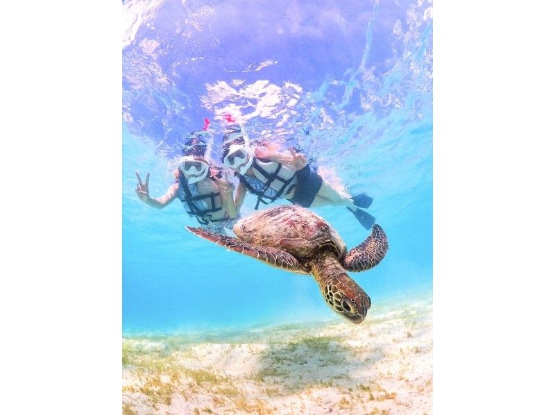 Miyakojima's most popular ★《100% encounter rate continues》【Sea turtle snorkeling】You can also see clownfish! Rain is OK! Same-day OK ★ Free data ★【Support for students】の紹介画像