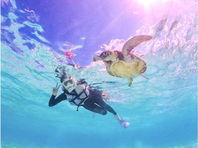 [Miyakojima] Sea turtle snorkel with photo data｜Encounter rate 100%