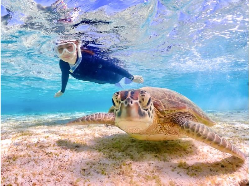 Miyakojima's most popular ★《100% encounter rate continues》【Sea turtle snorkeling】You can also see clownfish! Rain is OK! Same-day OK ★ Free data ★【Support for students】の紹介画像