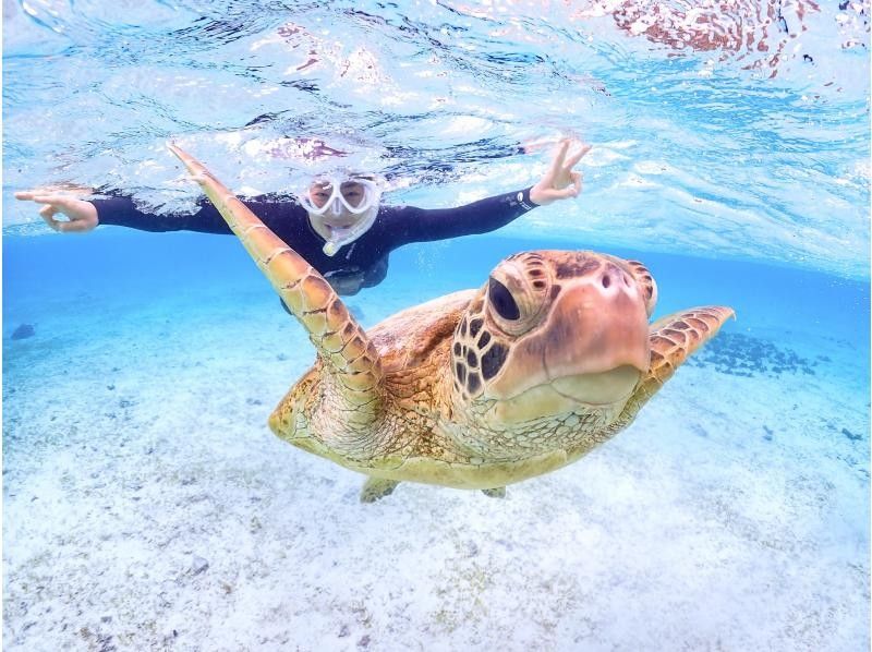 [Miyakojima] Private Sea turtle snorkel with photo data｜Encounter rate 100% ongoing