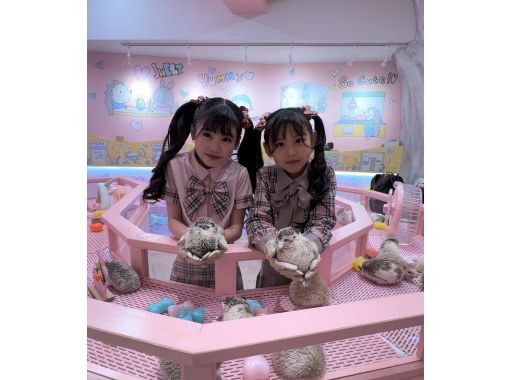 【東京・原宿】4種類のどうぶつさん達と遊んだり・もふもふしたりどうぶつさんとキュンキュンしよう♡駅徒歩3分お子様歓迎! 【東京・原宿】4種類のどうぶつさん達と遊んだり・もふもふしたりどうぶつさんとキュンキュンしよう♡駅徒歩3分お子様歓迎!