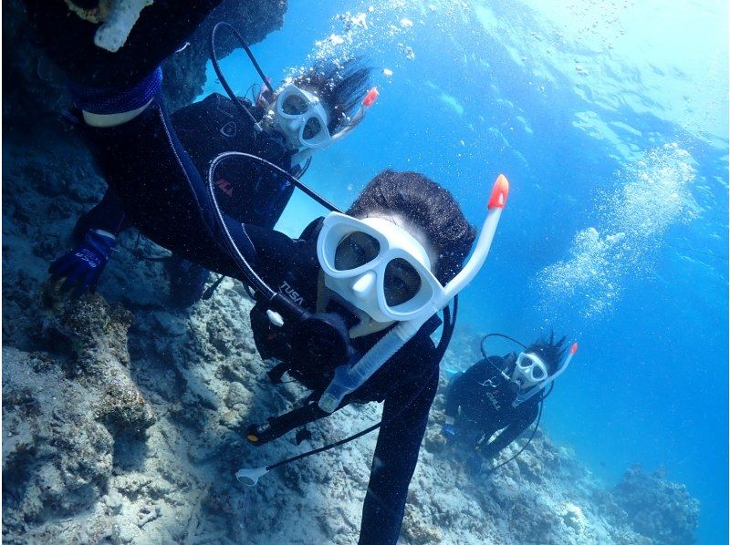 【石垣島・午前、午後/2便・3時間】はじめてでも安心｜専属ガイドがご案内｜幻の島上陸＆体験ダイビング【写真無料】の紹介画像
