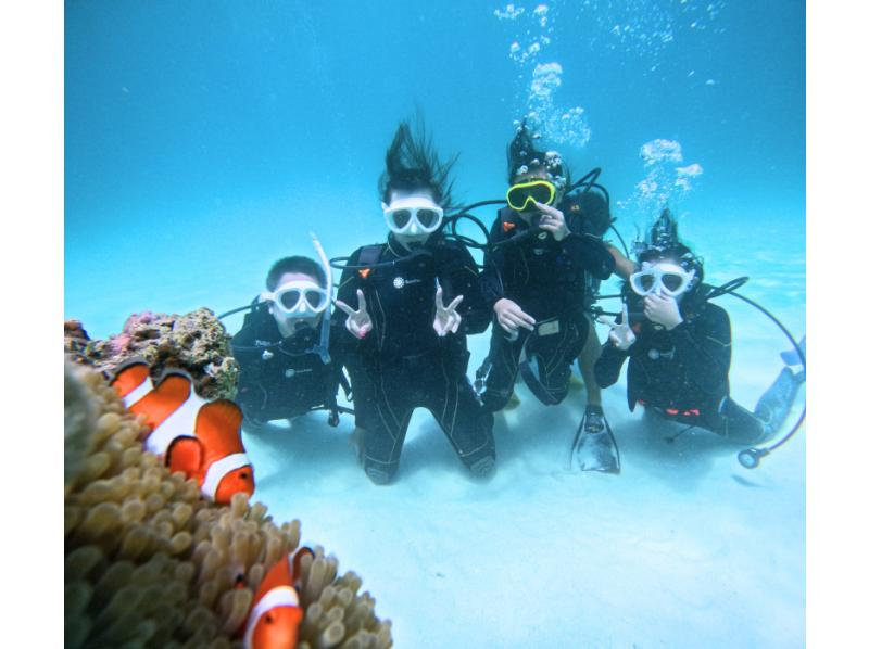【石垣島・午前、午後/2便】GoProレンタル無料!!初めてでも安心！専属ガイドがご案内-幻の島上陸＆初心者向け体験ダイビング【無料送迎】の紹介画像