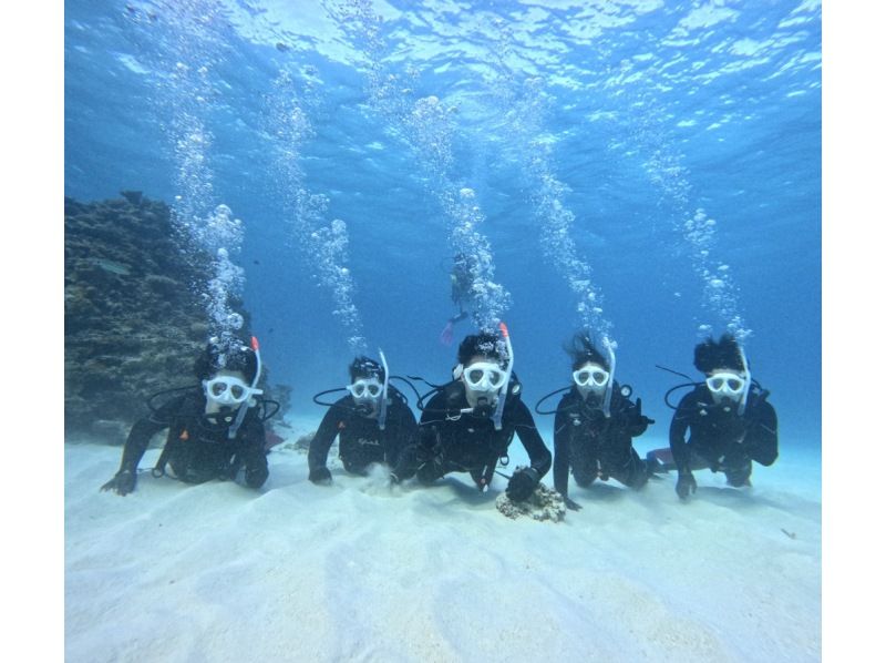 【石垣島・午前、午後/2便】GoProレンタル無料!!初めてでも安心！専属ガイドがご案内-幻の島上陸＆初心者向け体験ダイビング【無料送迎】の紹介画像
