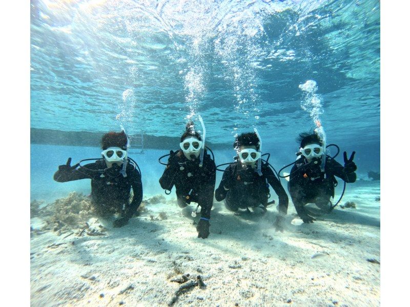 【石垣島・午前、午後/2便】GoProレンタル無料!!初めてでも安心！専属ガイドがご案内-幻の島上陸＆初心者向け体験ダイビング【無料送迎】の紹介画像