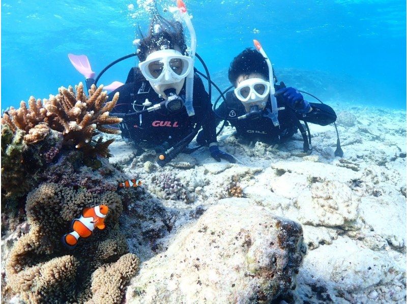 【石垣島・午前、午後/2便】GoProレンタル無料!!初めてでも安心！専属ガイドがご案内-幻の島上陸＆初心者向け体験ダイビング【無料送迎】の紹介画像