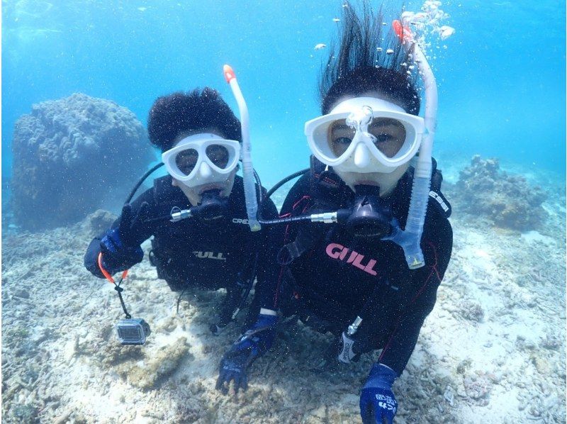 【石垣島・午前、午後/2便】GoProレンタル無料!!初めてでも安心！専属ガイドがご案内-幻の島上陸＆初心者向け体験ダイビング【無料送迎】の紹介画像
