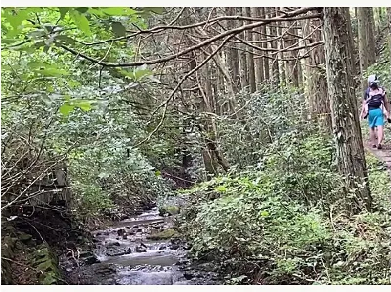 【静岡・掛川】落差10m滝つぼへ森林ピクニックと粟ヶ岳山頂かっぽしテラスでティータイム（1日1組限定）の紹介画像