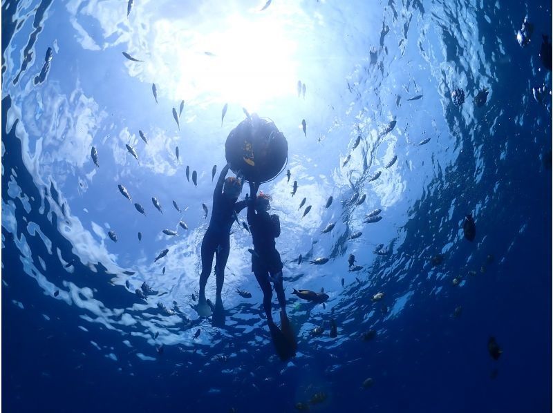 [冲绳水纳岛、濑底岛]欢迎初学者！水纳岛、濑底岛浮潜（自由潜）1の紹介画像