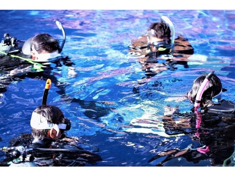 【石垣島2日間】島唯一のダイビングプールでPADIライセンス取得！の紹介画像