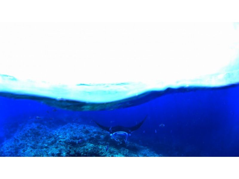 【石垣島2日間】島唯一のダイビングプールでPADIライセンス取得！の紹介画像