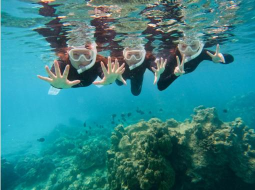 【奄美大島・SUP&シュノーケル・BBQ】【冬でも快適】船で行くコウトリビーチ上陸♪BBQ or 島黒豚しゃぶしゃぶ《Aプラン》 【奄美大島・SUP&シュノーケル・BBQ】【冬でも快適】船で行くコウトリビーチ上陸♪BBQ or 島黒豚しゃぶしゃぶ《Aプラン》