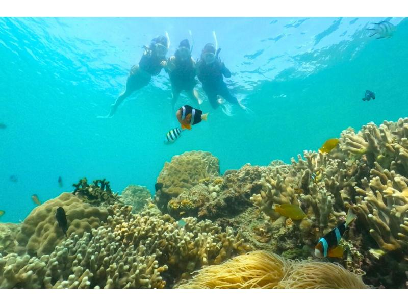 ขาย! 《แผน A》 [อามามิโอชิมะ / SUP / การดำน้ำตื้น(Snorkeling) / บาร์บีคิว] ทัวร์สุดหรูเพลิดเพลินไปกับทะเลอามามิ! รวมบาร์บีคิว!の紹介画像