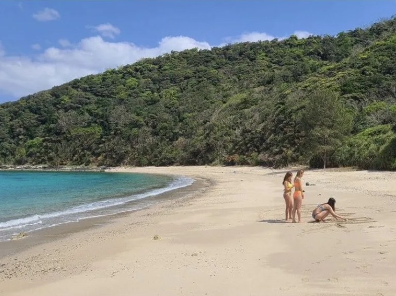 【奄美大島，立槳衝浪、浮潛、燒烤】【冬季也舒適】搭船前往高取海灘♪包含潛水衣和熱水淋浴（A方案）の紹介画像