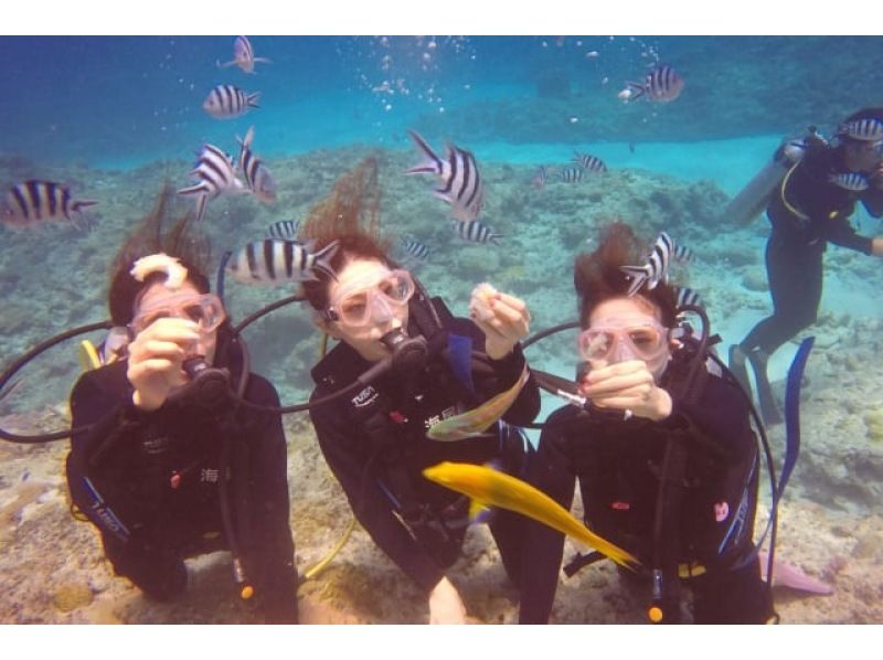 2025年4月度Google口コミ数「沖縄ダイビング」1位！那覇発・半日慶良間諸島海ガメに逢える！？器材レンタル付！ファンダイビング2回の紹介画像